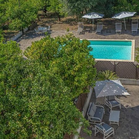 Casa Gege', For Up To 5 Guests, Shared Pool, Sorrento Center Apartment Ngoại thất bức ảnh