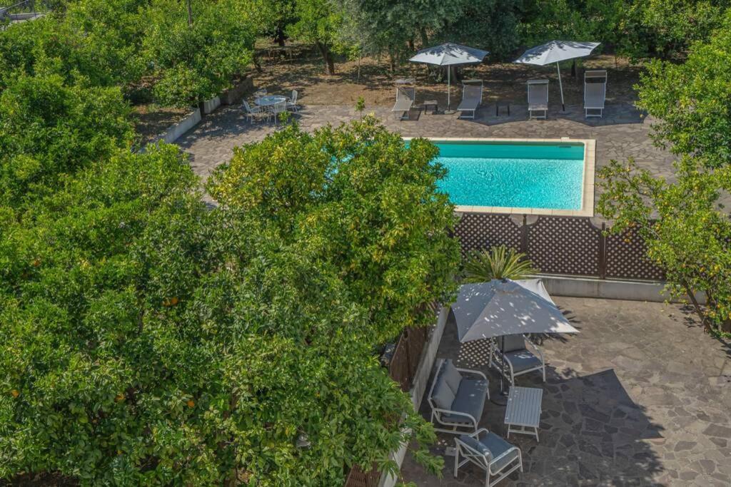 Casa Gege', For Up To 5 Guests, Shared Pool, Sorrento Center Apartment Ngoại thất bức ảnh